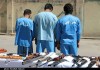 اخبار حوادث | باند سارقین کرج به دام پلیس افتادند | دستگیری با استفاده از شگردهای پلیسی